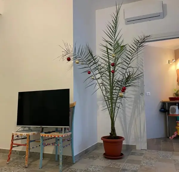 Soggiorno del bilocale Sicilia con palma e sedie decorate a mano